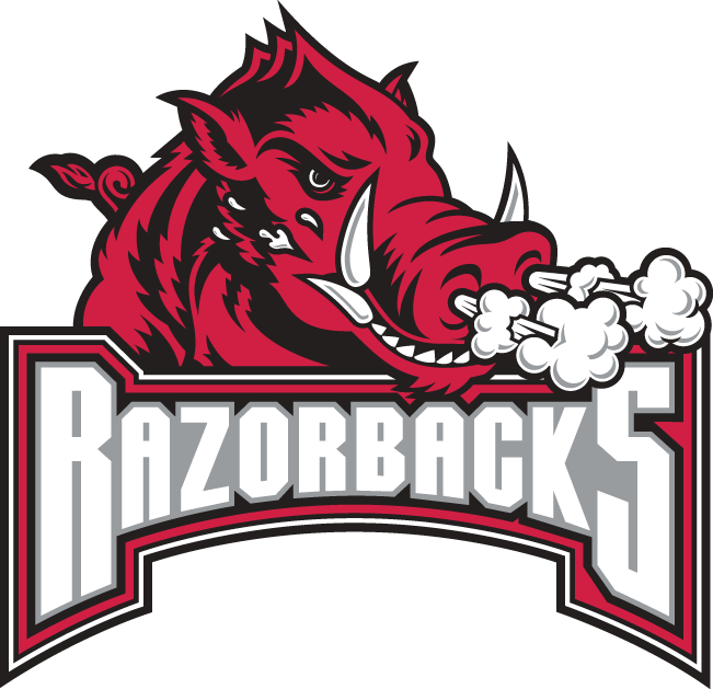 Arkansas Razorbacks 2001-2008 Secondary Logo v2 iron on transfers for clothing